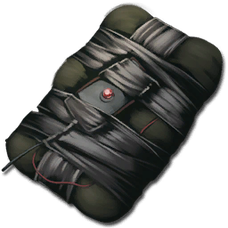 C4